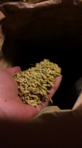 アリエンティ～～ 画像1