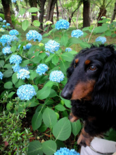 未知との遭遇 画像3