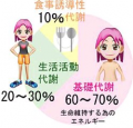 基礎代謝て何だ！
