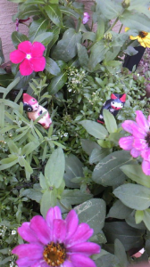 ☆ひさしぶりにゆっくり～( ￣ｑ￣)ｚｚｚ 画像1