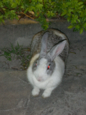 狭い島だわ 画像3