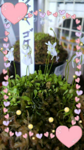 ☆やっぱり… 画像1