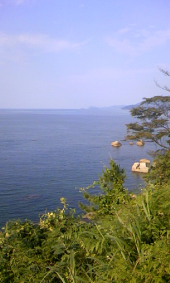 贅沢なパン 画像2