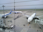 ☆羽田空港にお迎え休暇( 笑)☆ 画像1