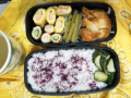 とんかつ弁当とフキ