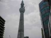 スカイツリー 画像3