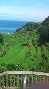 恋人の聖地 画像3