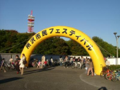 晴　フェスタだが 画像1