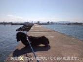 十三人の刺客 画像1