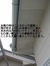 トム・ヤム・クン 画像1