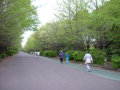 公園で健康維持する人々