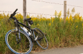 CANNONDALE F500