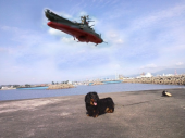 所さんの目がテン 画像1