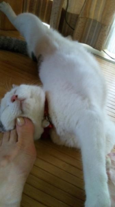 病休(*_*) 画像2