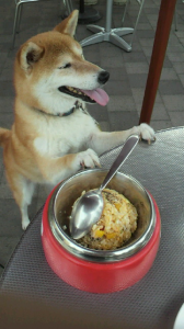 ☆またまたお泊まり(* ノ▽ノ) 画像1