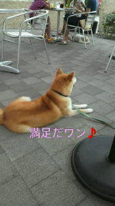 ☆またまたお泊まり(* ノ▽ノ) 画像3