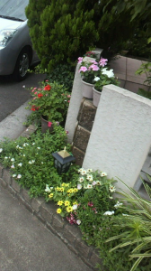 ☆気がつけば…三段腹( 爆) 画像3