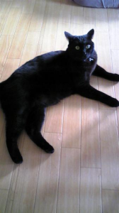 息子が居ないと… 画像1