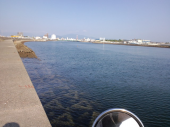 ゲオ８０円　行かねば 画像2