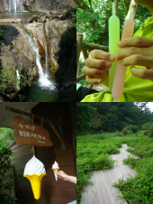 布引の滝～トゥエンティクロス～森林植物園 画像3