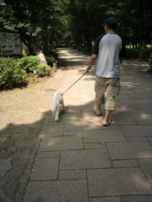 井の頭公園 画像2