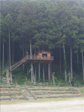 no title 画像3