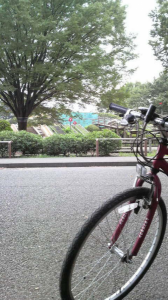 ☆雨が降る前に走っちゃえ～☆ 画像1