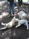 代々木公園へ行こう！