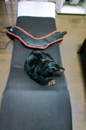 はじめました～♪ 画像1