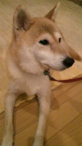 ☆ママは夜中に… 画像1