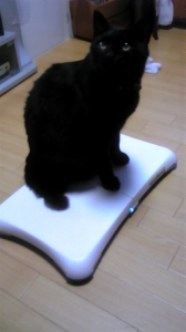 猛反省 画像1