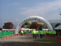 勝沼マラソンで走った