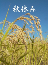 もういくつ・・・・♪ 画像1