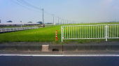 抜本塞源（ばっぽんそくげん） 画像2