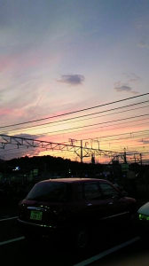 残暑　キビシイ・・・ 画像1