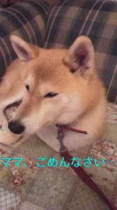 ☆アンフェア見てきた～♪ 画像1