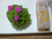 萩 画像1