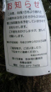 倒木
