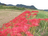 さて、月も変わったことだし、、、、 画像3