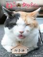 「ねこタクシー？」 画像1