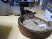 ストーブ 画像2