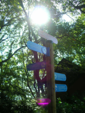 生駒チャレンジ登山大会　試走会 画像3