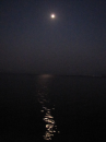 海上サプライズ