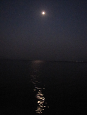 海上サプライズ 画像2