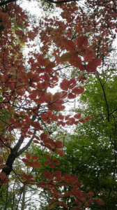 ☆代休とってま～す☆ 画像2
