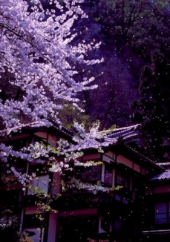 高。 画像2