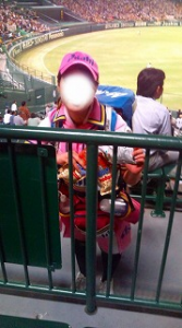 プロ野球今年はおしまい 画像1