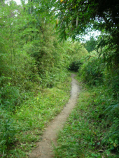 第五回生駒チャレンジ登山　トレイルランニングの部 画像2