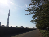 晴れた朝には♪ 画像1