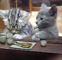「頸椎のヘルニア？」 画像3